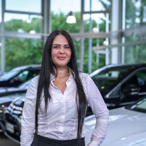 alina ps kraftwagen autoankauf